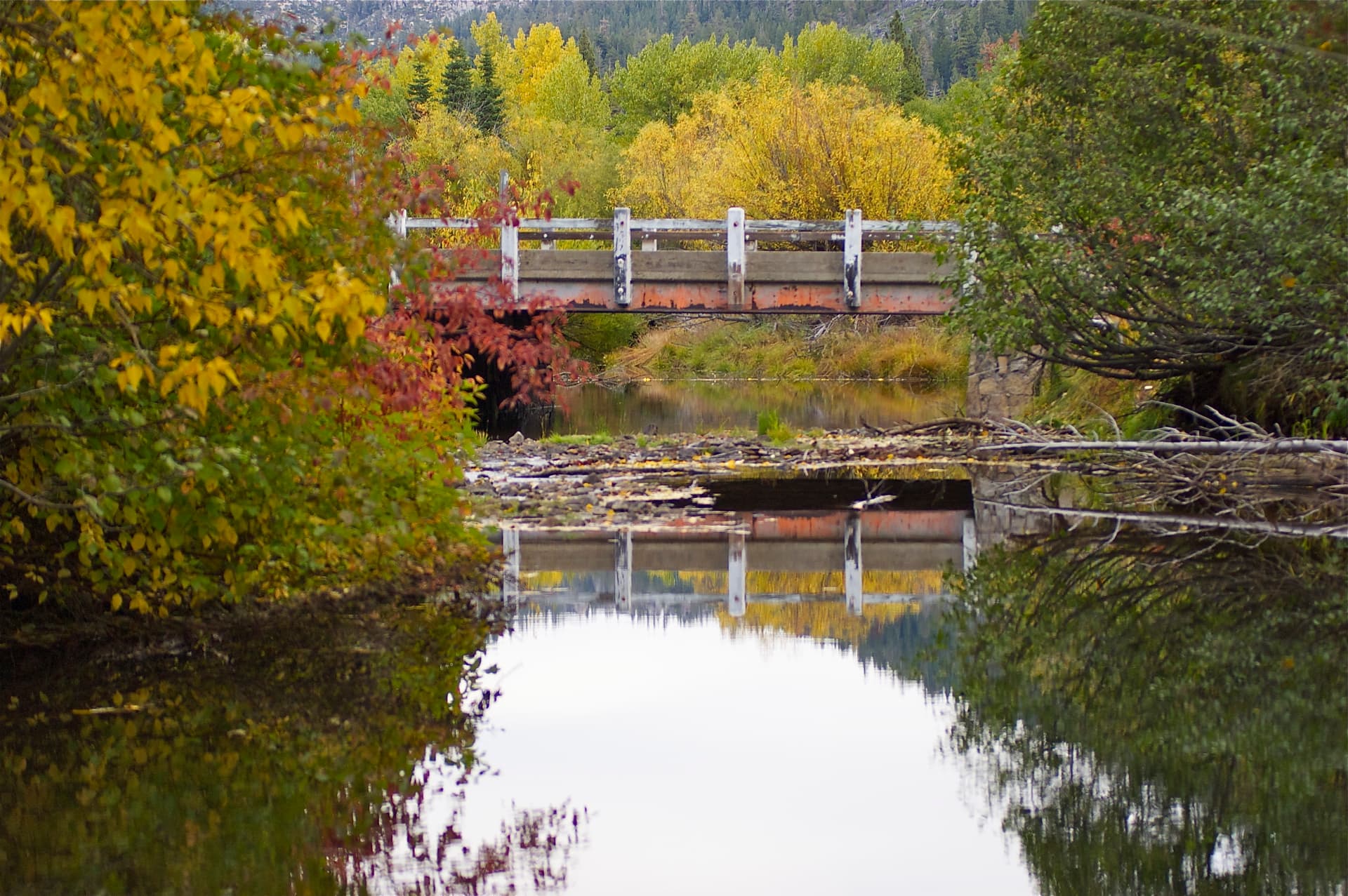 Upper Truckee River