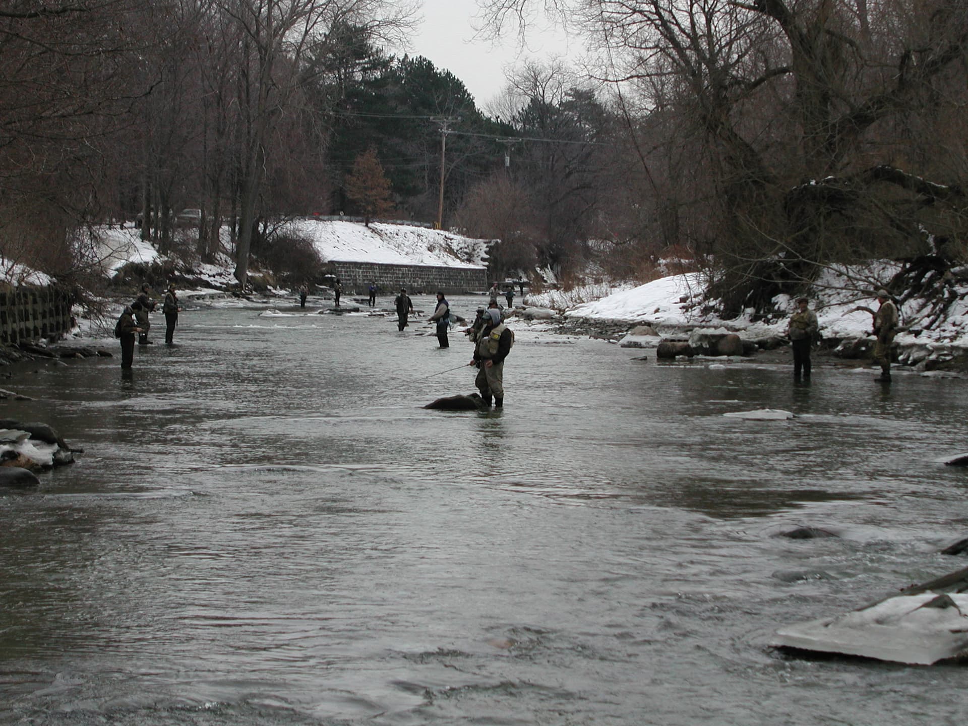 Walnut Creek fishing