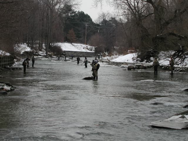 Walnut Creek fishing
