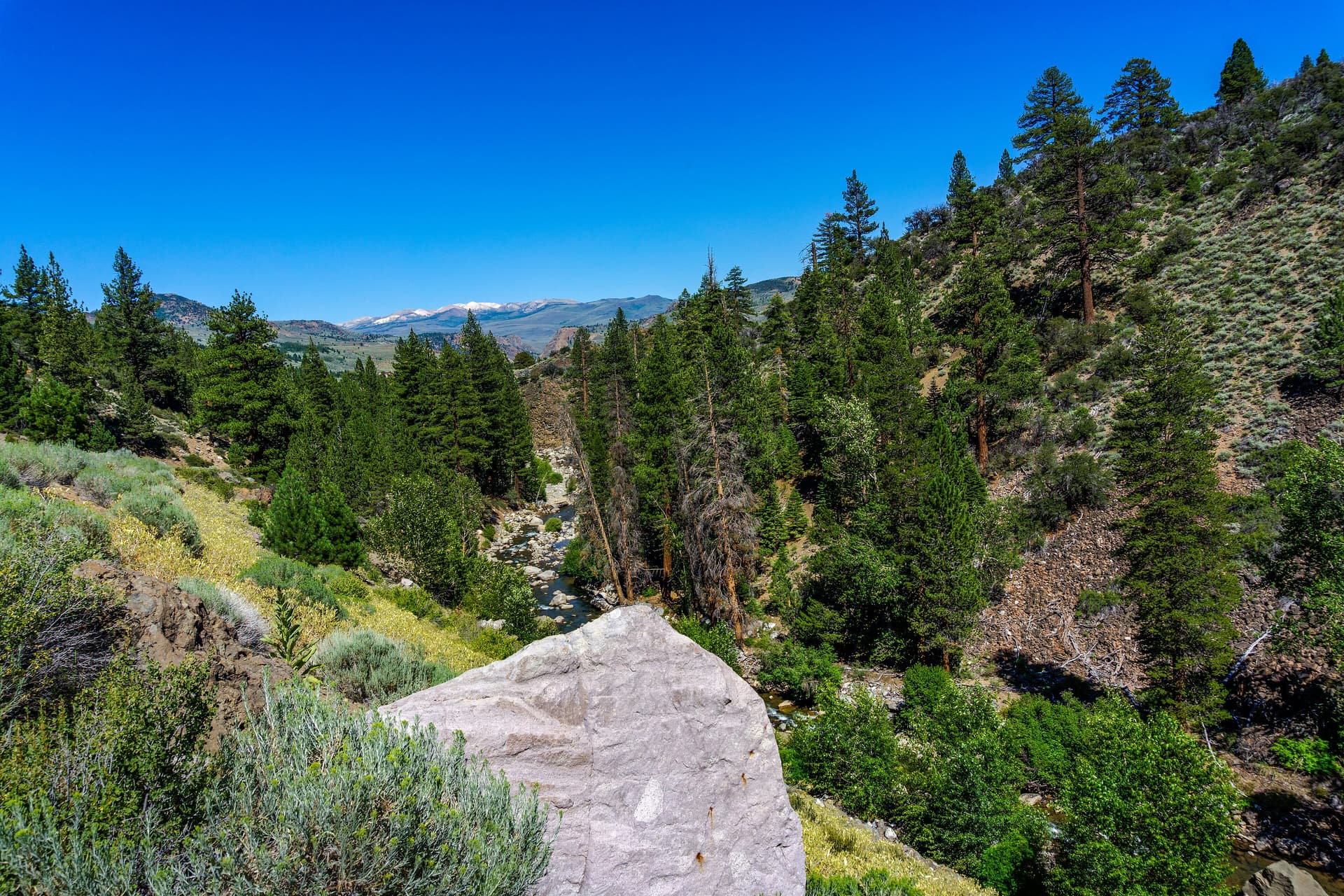 Leavitt Meadow-West Walker River