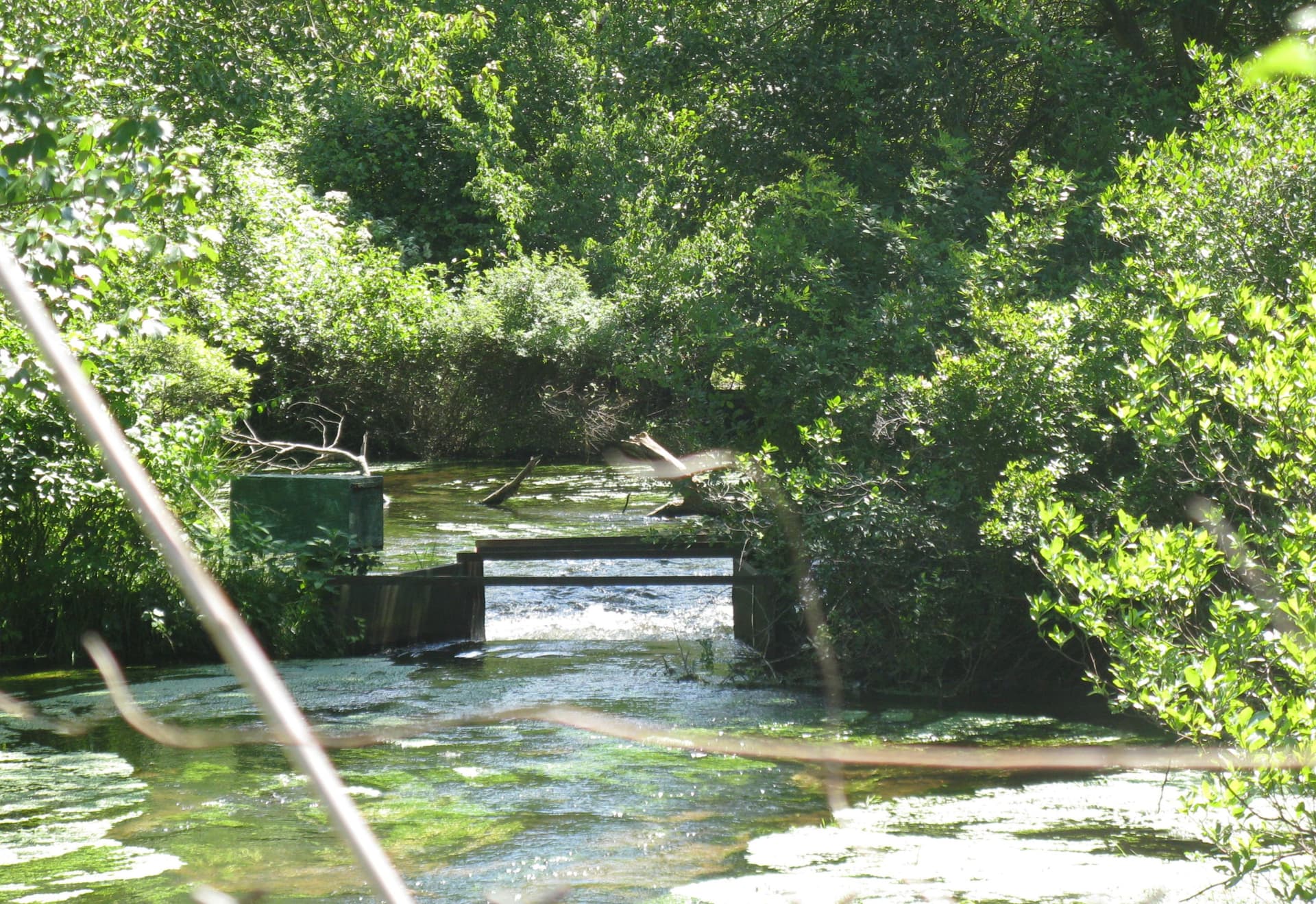 Connetquot-River