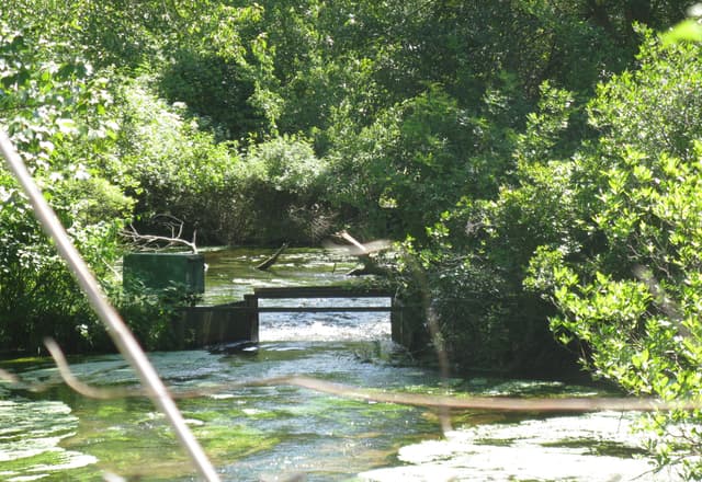 Connetquot-River