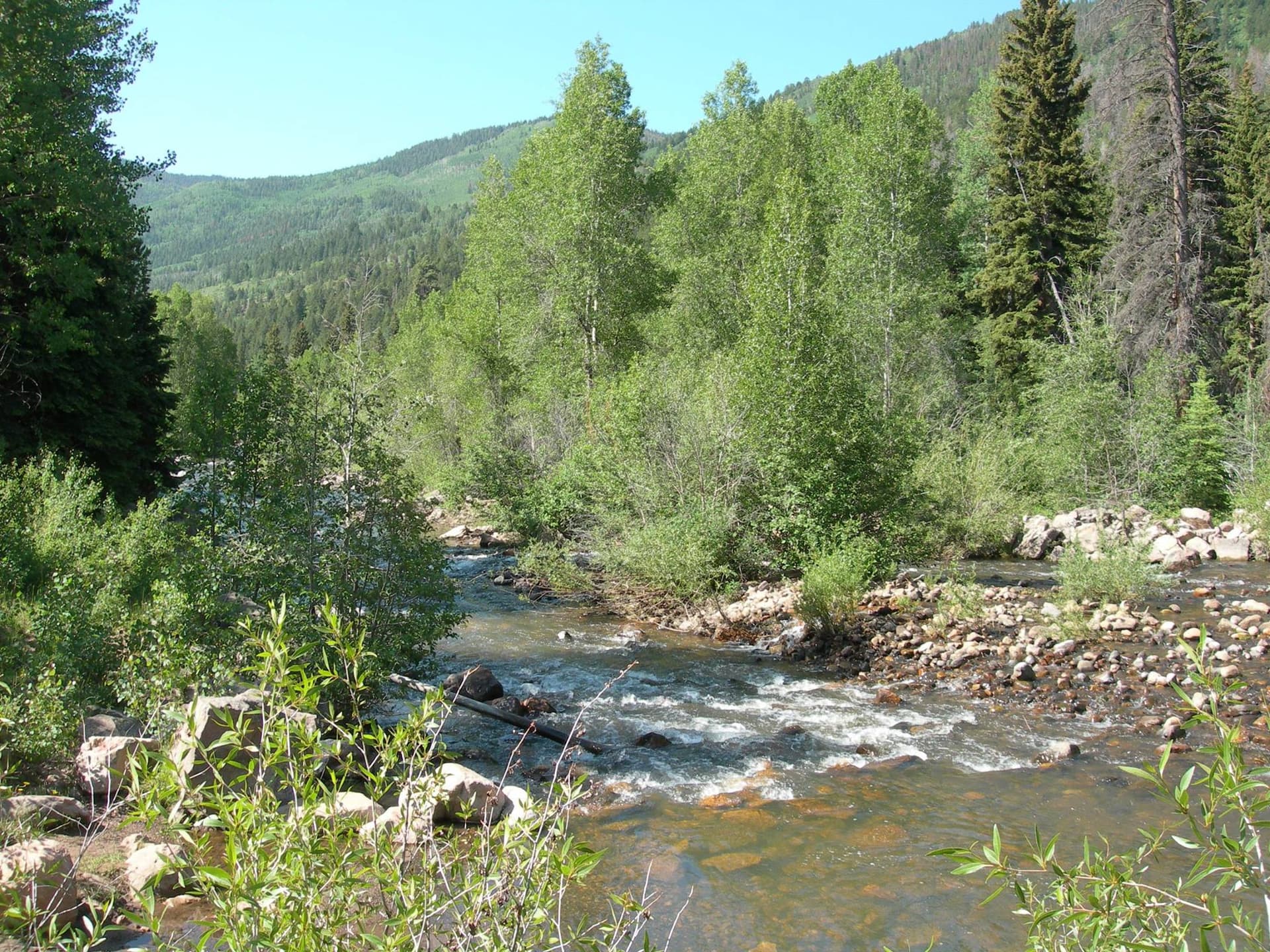 North Fork Duchesne Canyon - Social 1