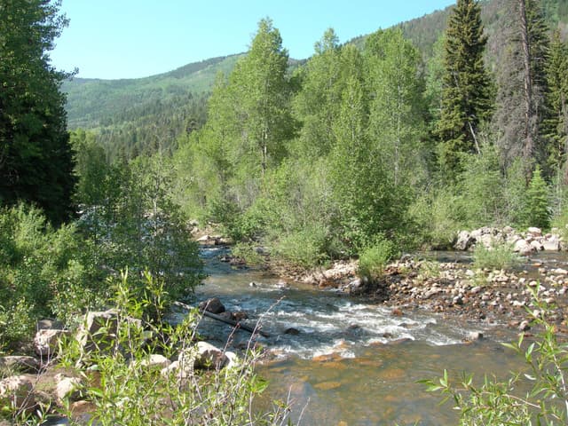 North Fork Duchesne Canyon - Social 1