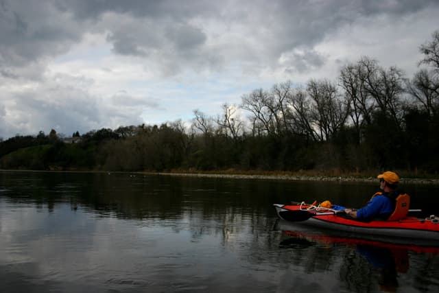 Lower American River