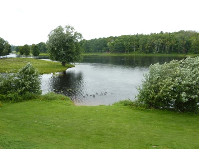 Fleuve Miramichi Doaktown
