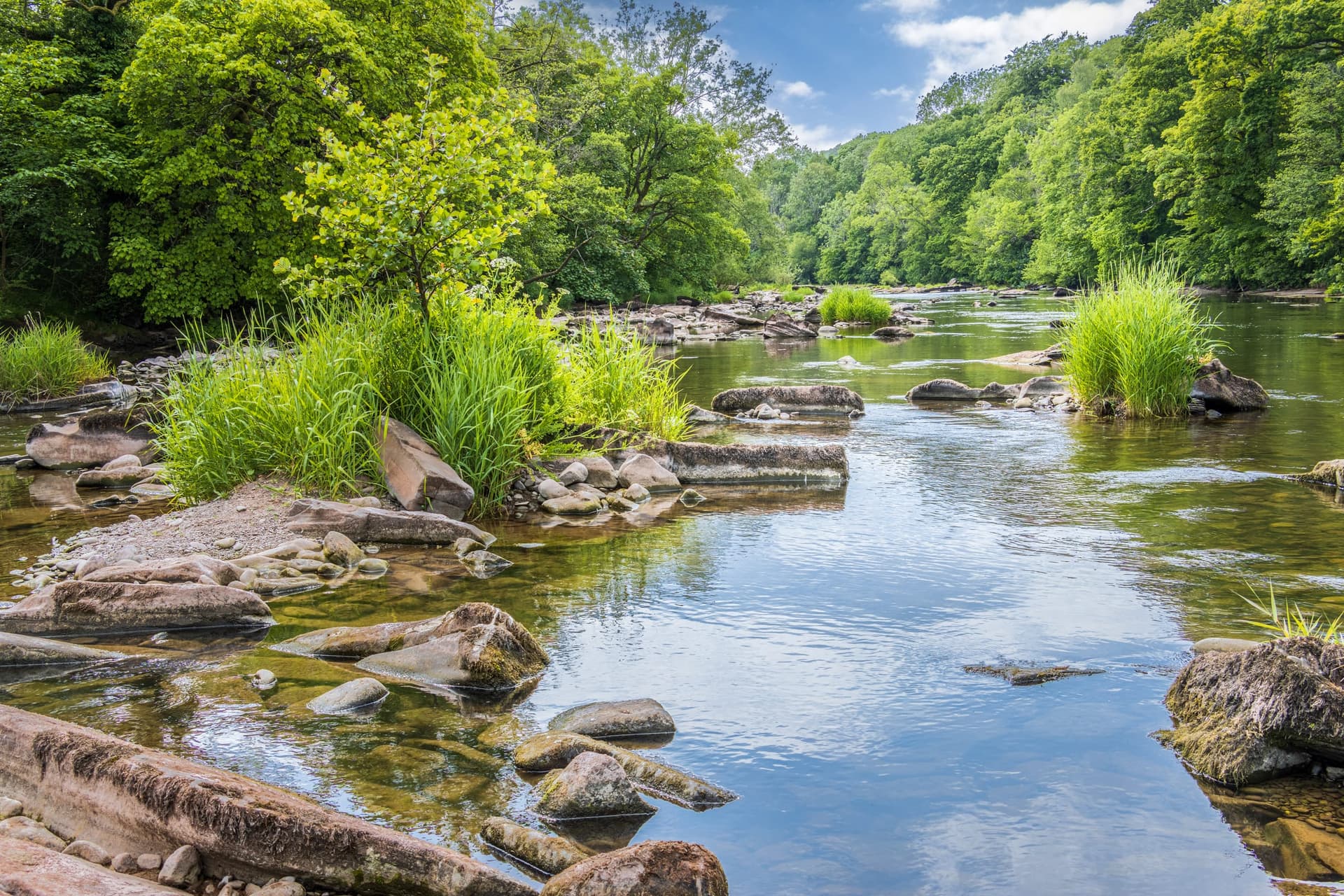The River Usk flowing through open meadowland outside Llangynidr in the Brecon Beacons, with a tree-lined far bank.