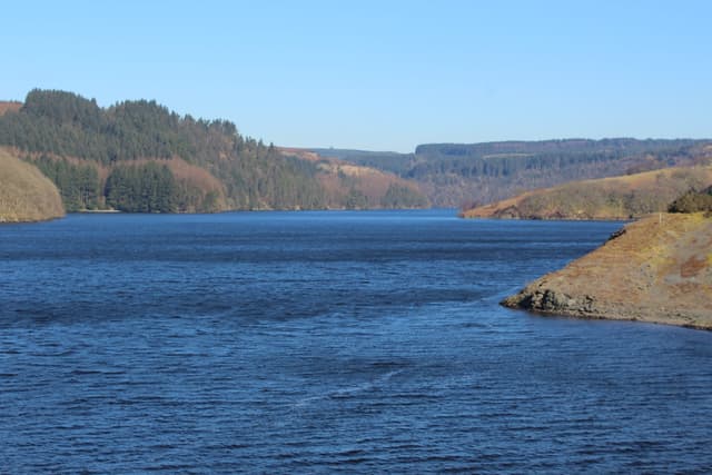 Llyn Brianne Reservoir from the western shore, open water toward the spillway with Tywi Forest on the far hillside.