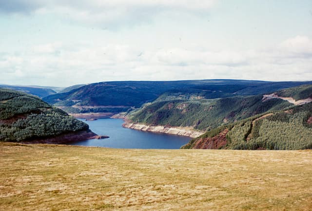 Broad landscape view of Llyn Brianne Reservoir looking north, open water in the foreground and moorland and woodland rising around.