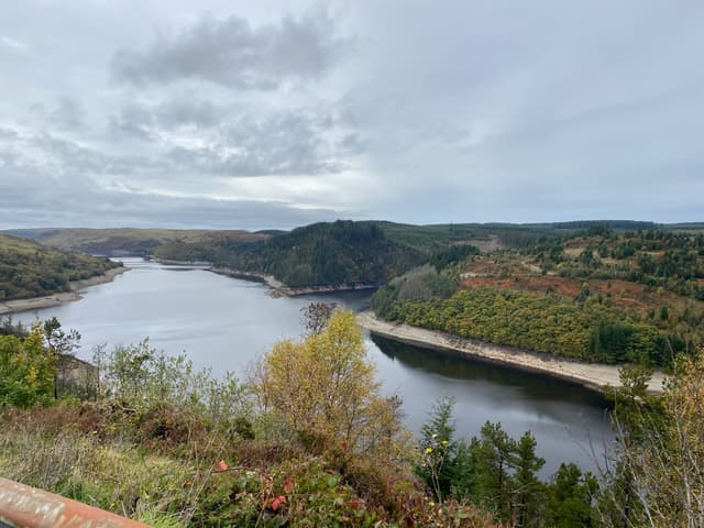 View across the Afon Tywi arm of Llyn Brianne toward the dense Tywi Forest on the far shore.