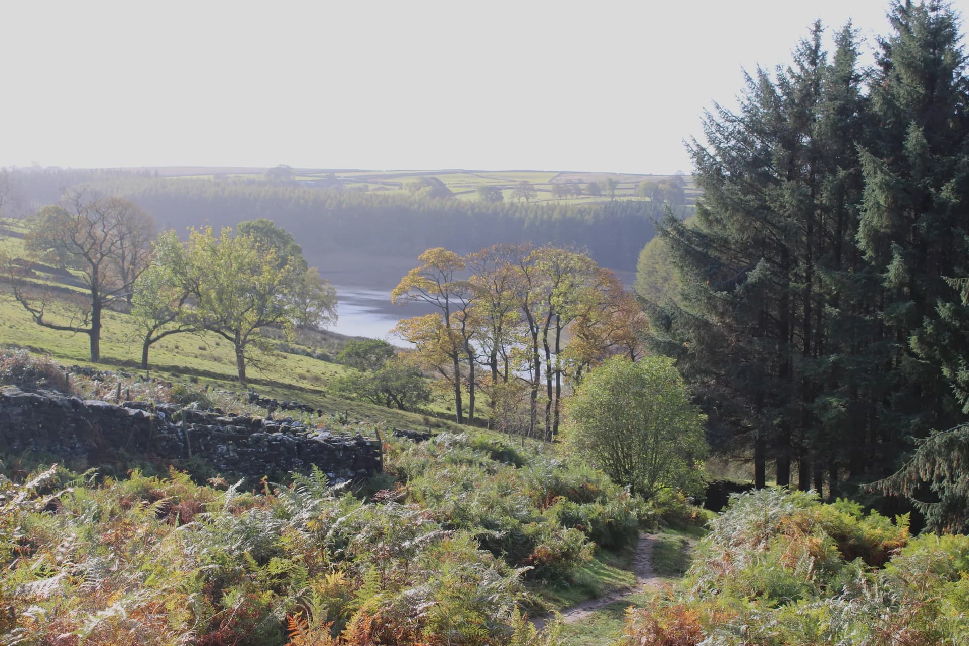Washburn Valley Fisheries fishing venue photo