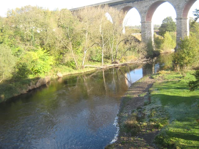 The River Wear looking upstream from Newton Cap Bridge near Bishop Auckland, a broad pool with wooded banks in autumn.