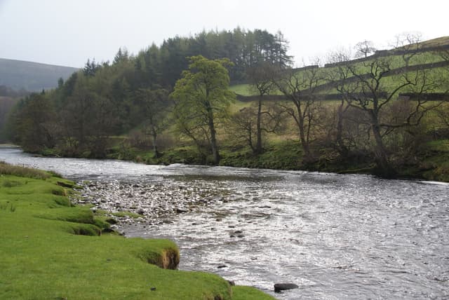 The River Wharfe meandering through open meadow near Appletreewick with woodland on the far bank.
