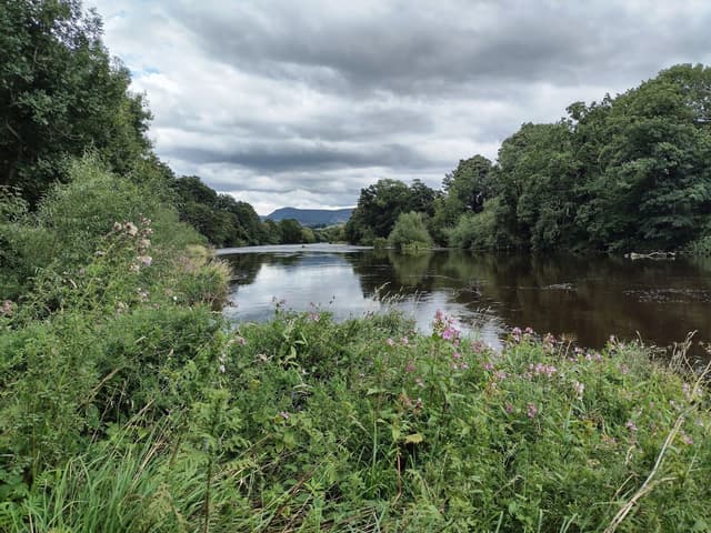 The River Wye at Boughrood in summer low water, with visible gravel banks and clear water.