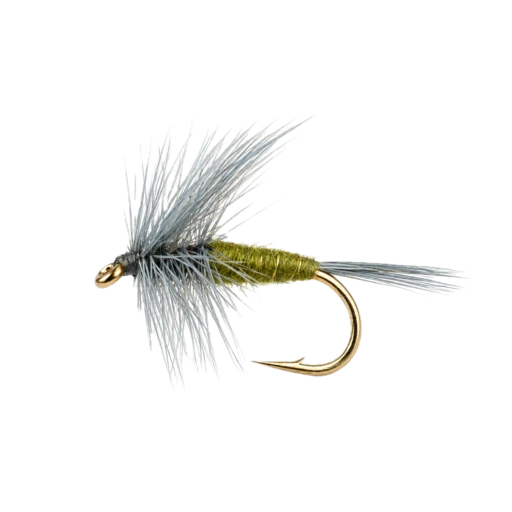 Blue Winged Olive