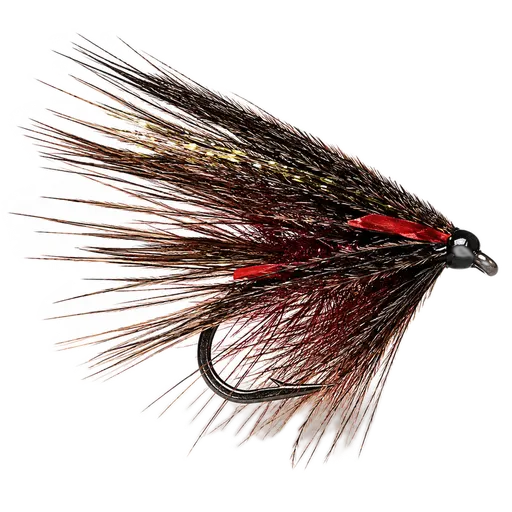 Claret Dabbler