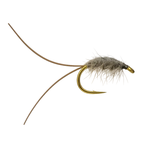Corophium Volutator