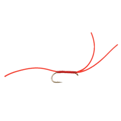 Flexi Worm