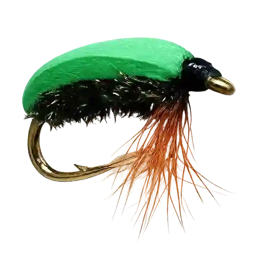 Green Beetle