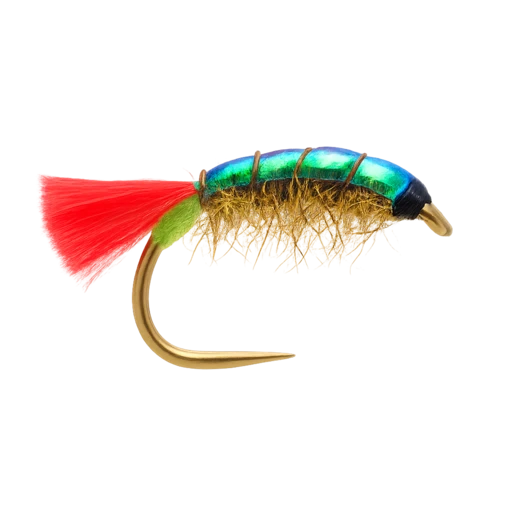 Hot Tag Flashback Mud Shrimp