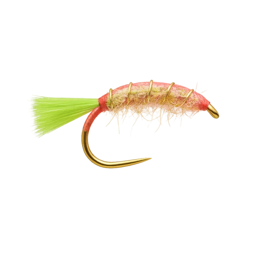 Jaxon's Pink Shrimp