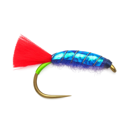 Jaxon's Violent Shrimp Red Tag