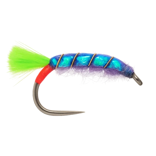Jaxon's Violent Shrimp