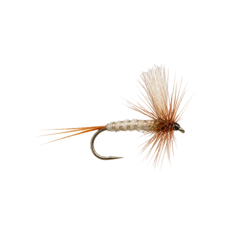 Mayfly Dun