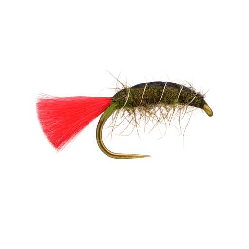 Red Tag Mud Shrimp