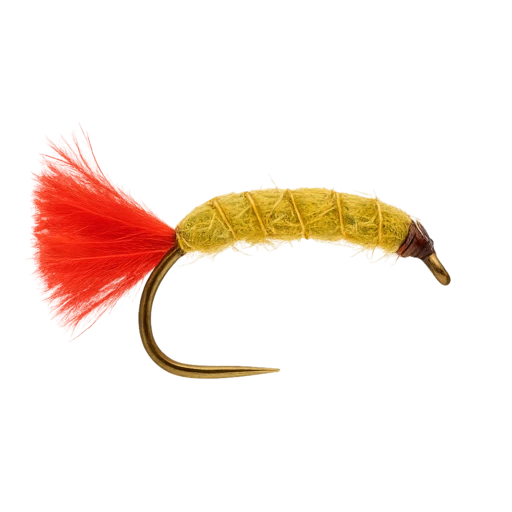 Red Tag Sand Shrimp