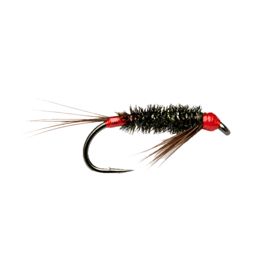 Red-tagged Diawl Bach