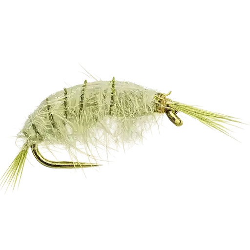 Gammarus Scud (Olive)