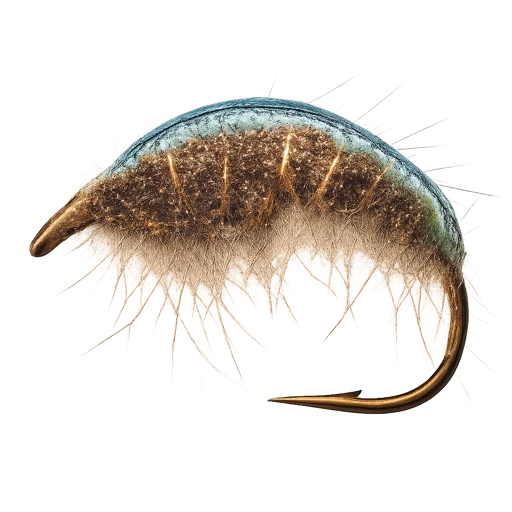 Spectra Shrimp