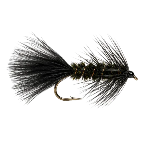 Woolly Bugger